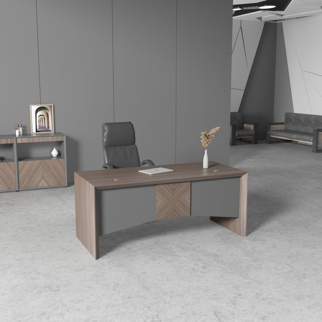 Almando Modern Executive Desk, Office Computer Desk with Universal Charging Ports and Cable Management for Home Office - JOSE.M.ONNA FURNITURE