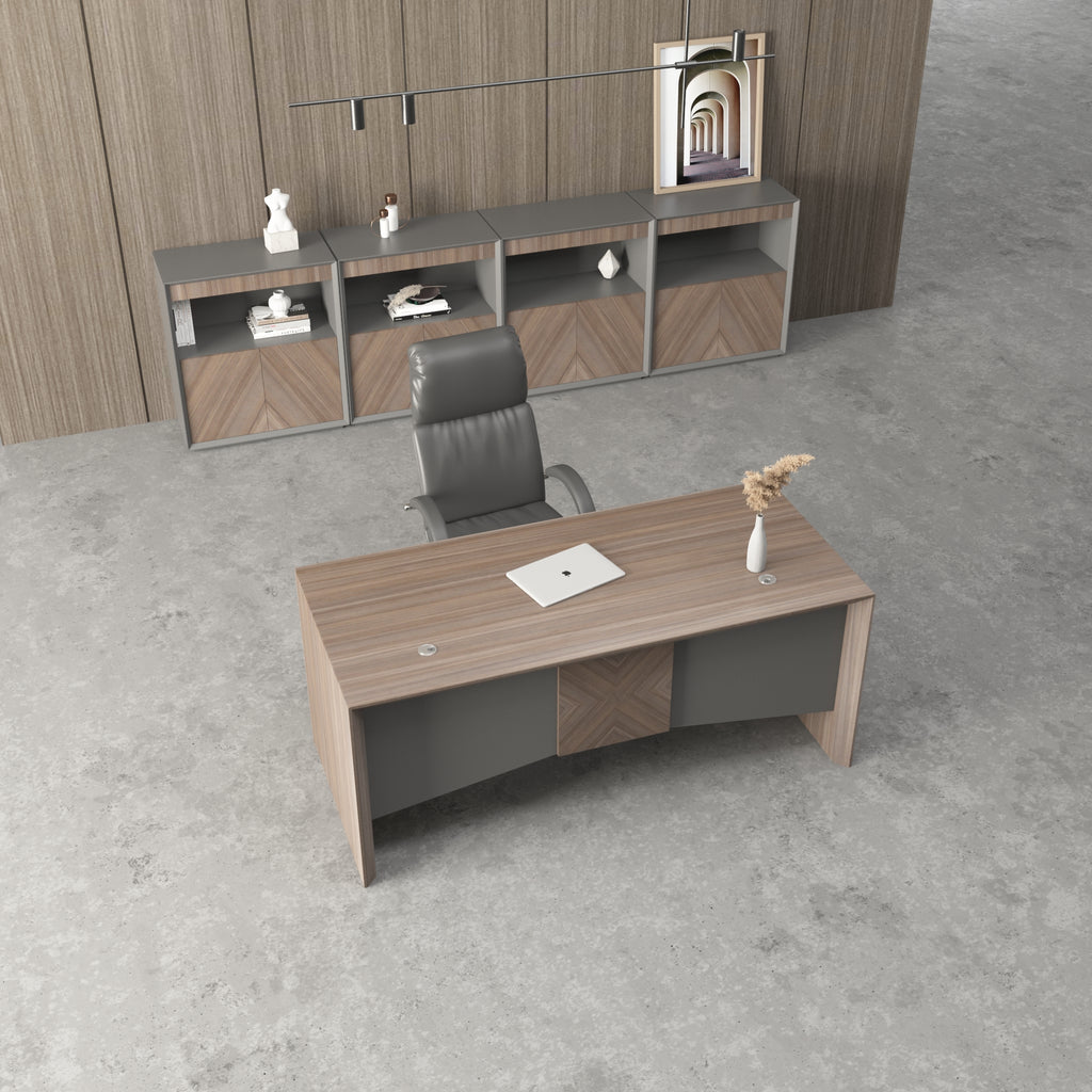 Almando Modern Executive Desk, Office Computer Desk with Universal Charging Ports and Cable Management for Home Office - JOSE.M.ONNA FURNITURE